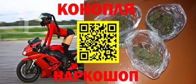 прущие грибы Комсомольск-на-Амуре