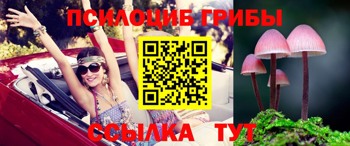Псилоцибиновые грибы мицелий Канаш