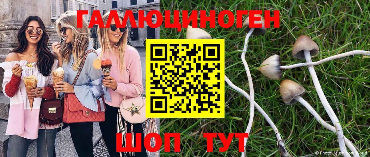 сколько стоит  Вход с VPN  Канаш  Галлюциногенные грибы Psilocybe 
